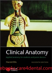 Clinical Anatomy (11 Edition) (pdf)